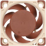 Noctua NF-A4x20 PWM Carcasa del ordenador Ventilador 4 cm Beige, Marrón Ventilador, 4 cm, 1200 RPM, 5000 RPM, 14,9 dB, 9,4 m³/h