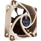 Noctua NF-A6X25 FLX sistema de refrigeración para ordenador Carcasa del ordenador Ventilador 6 cm Marrón marrón/blanco, Ventilador, 6 cm, 1600 RPM, 3000 RPM, 19,3 dB, 29,2 m³/h