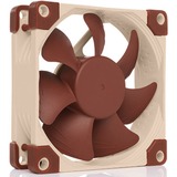 Noctua NF-A8 Carcasa del ordenador Ventilador 8 cm Beige, Marrón Ventilador, 8 cm, 450 RPM, 2200 RPM, 17,7 dB, 55,5 m³/h