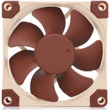 Noctua NF-A8 Carcasa del ordenador Ventilador 8 cm Beige, Marrón Ventilador, 8 cm, 450 RPM, 2200 RPM, 17,7 dB, 55,5 m³/h