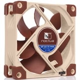 Noctua NF-A8 Carcasa del ordenador Ventilador 8 cm Beige, Marrón Ventilador, 8 cm, 450 RPM, 2200 RPM, 17,7 dB, 55,5 m³/h