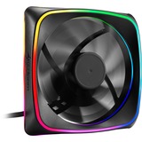 Sharkoon RGB SHARK Lights Carcasa del ordenador Ventilador 12 cm Negro negro, Ventilador, 12 cm, 1000 RPM, 15,2 dB, 56 m³/h, Negro