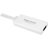 DeLOCK 62460 adaptador de cable de vídeo 0,25 m HDMI tipo A (Estándar) VGA (D-Sub) + USB Blanco blanco, 0,25 m, HDMI tipo A (Estándar), VGA (D-Sub) + USB, Macho, Hembra, 1920 x 1080 Pixeles