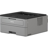 Brother HL-L2310D impresora láser 2400 x 600 DPI A4 gris/Negro, Laser, 2400 x 600 DPI, A4, 30 ppm, Impresión dúplex, Negro, Gris