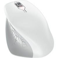 CHERRY JW-8550-0 ratón Universal mano derecha RF inalámbrico Óptico 4000 DPI blanco, mano derecha, Óptico, RF inalámbrico, 4000 DPI, Gris, Blanco