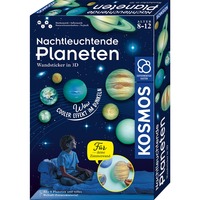 KOSMOS 654269, Caja de experimentos