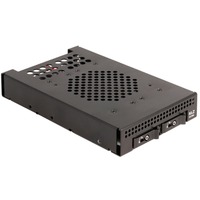 DeLOCK Marco extraíble de 3,5″ para 2 x M.2 NVMe SSD, Bastidor de instalación 