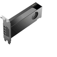 PNY NVIDIA RTX PRO 2000 Blackwell Generation 16GB PB, Tarjeta gráfica A granel