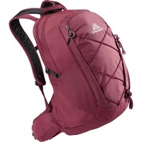 Gregory Kiro 22, Mochila violeta