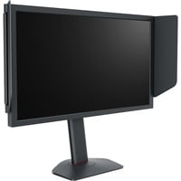 BenQ Zowie XL2566X+, Monitor de gaming negro
