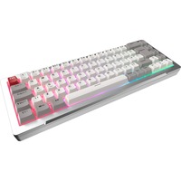 RAIJINTEK 0R40B00276, Teclado para gaming plateado