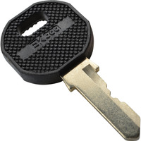 Digitus Llave para la serie Unique y armarios IP55 