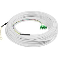 Digitus DK-3904LCA-50, Cable blanco