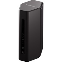 Netgear RS300-100EUS, Router