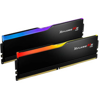 G.Skill F5-6800J3445G32GX2-RM5RK, Memoria RAM negro
