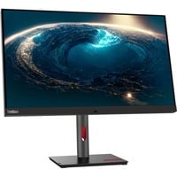 Lenovo ThinkVision P32pz-30 LED display 80 cm (31.5") 3840 x 2160 Pixeles 4K Ultra HD LCD Negro, Monitor LED negro, 80 cm (31.5"), 3840 x 2160 Pixeles, 4K Ultra HD, LCD, 6 ms, Negro