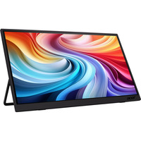 Acer PM161W, Monitor LED negro