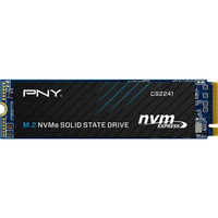 PNY M280CS2241-2TB-RB, Unidad de estado sólido 