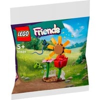 LEGO 30659, Juegos de construcción