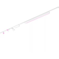 Philips Hue Kit Perifo base de techo recto (3 focos, 1 barra de luz), Lámpara blanco, Philips Hue White and Color ambiance Kit Perifo base de techo recto (3 focos, 1 barra de luz), Punto de iluminación inteligente, Bluetooth, Blanco, LED integrado, Metal, Sintético, Bombilla(s) no reemplazable(s)