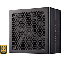 Cooler Master ELITE GOLD 750, Fuente de alimentación de PC negro
